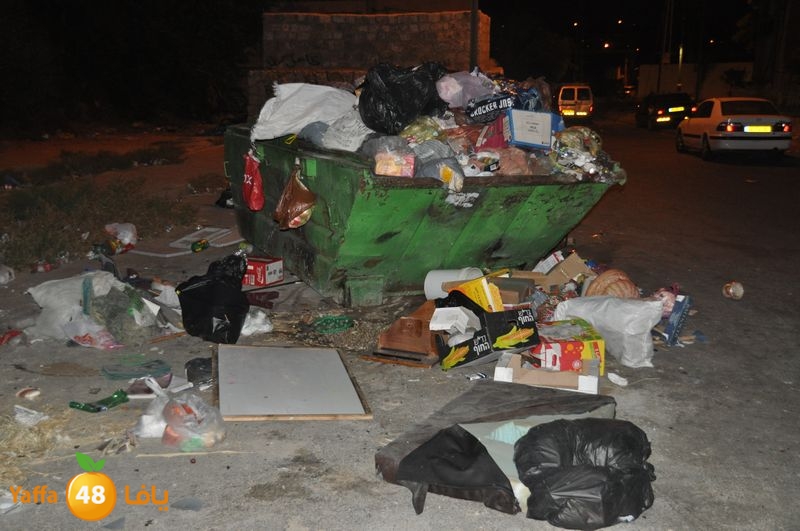 trash lud 907 (30).JPG